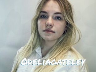 Odeliagateley