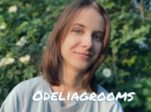 Odeliagrooms