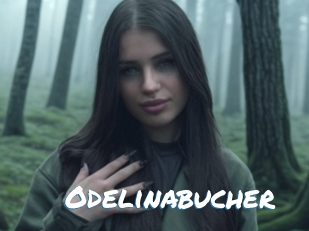 Odelinabucher