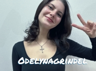Odelynagrindel