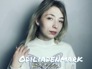 Odiliadenmark
