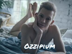 Ozzipium