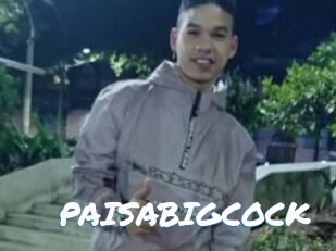 PAISABIGCOCK