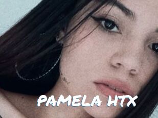 PAMELA_HTX