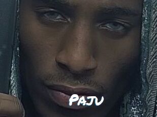 Paju