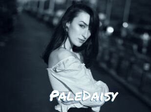 PaleDaisy