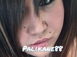 Palikane88