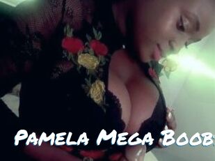 Pamela_Mega_Boobs
