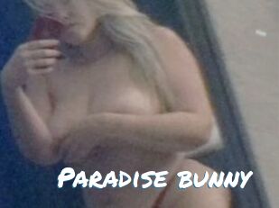 Paradise_bunny