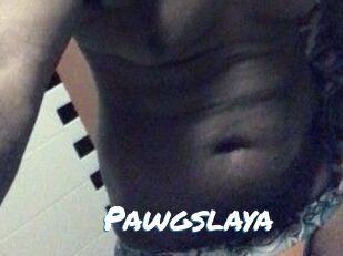 Pawgslaya