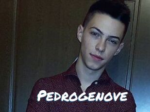 Pedrogenove