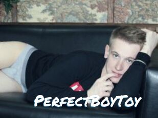 PerfectBoyToy