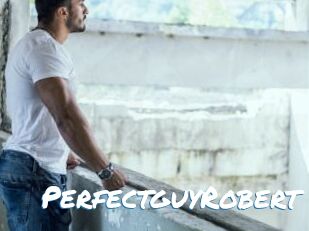 PerfectguyRobert