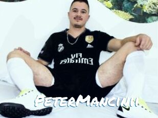 PeterMancinii