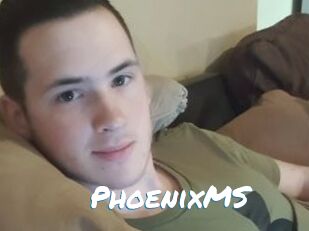 PhoenixMS