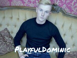 PlayfulDominic