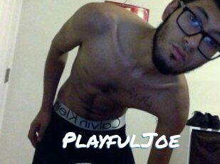 PlayfulJoe