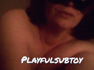 Playfulsubtoy