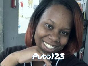 Pudd123