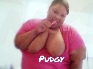 Pudgy