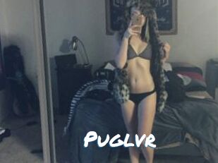 Puglvr