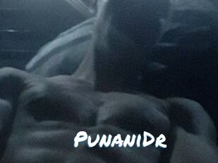 PunaniDr