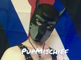PupMischief
