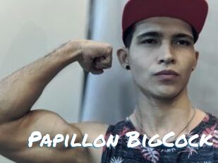 Papillon_BigCock