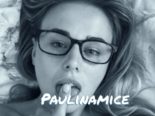 Paulinamice
