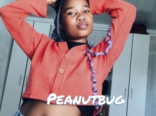 Peanutbug