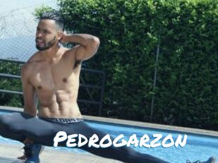 Pedrogarzon