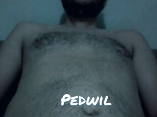 Pedwil