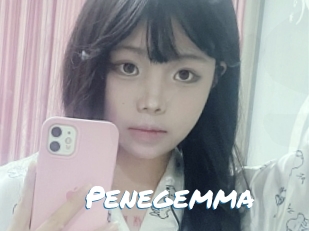 penegemma Max 50