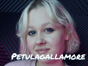 Petulagallamore