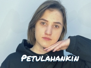 Petulahankin