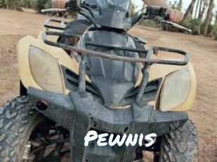 Pewnis