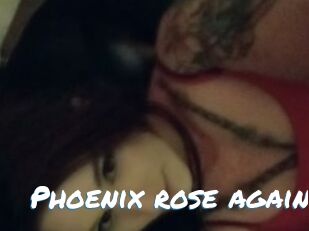 Phoenix_rose_again