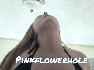 pinkflowerhole Max 50
