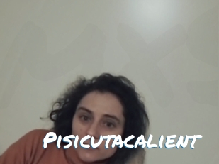 Pisicutacalient
