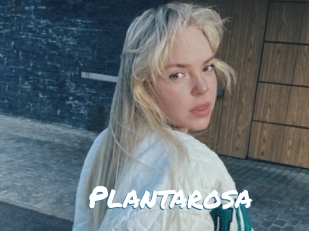 Plantarosa