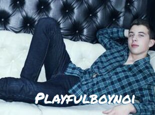 Playfulboynoi