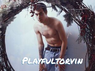 Playfultorvin