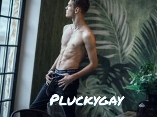 Pluckygay