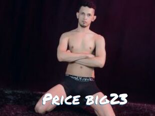 Price_big23