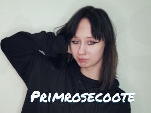 Primrosecoote