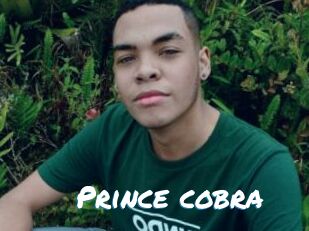Prince_cobra