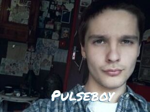 Pulseboy