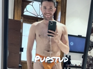 Pupstud