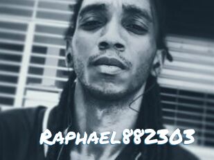 Raphael882303