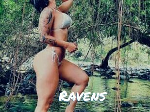 Ravens Max 50